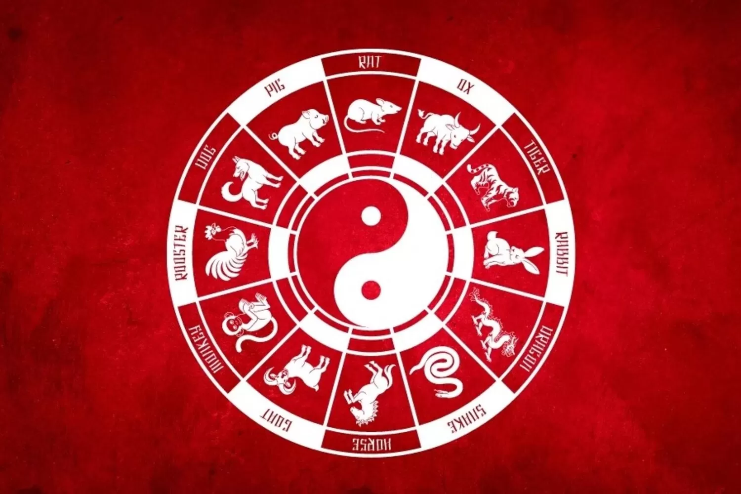 Ramalan Shio Sepekan Tanggal 19 – 25 Oktober 2025, Ini Shio Paling Hoki Pekan Ini